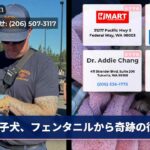 子犬、フェンタニルから奇跡の復活