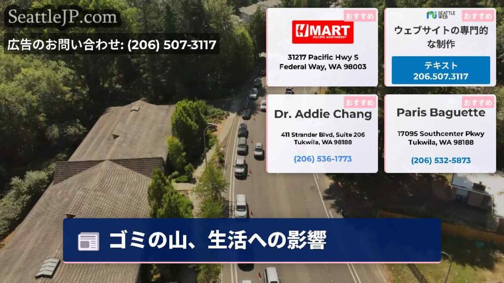 ゴミの山、生活への影響