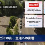 ゴミの山、生活への影響