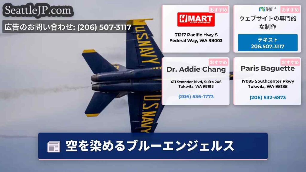 空を染めるブルーエンジェルス
