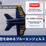 空を染めるブルーエンジェルス