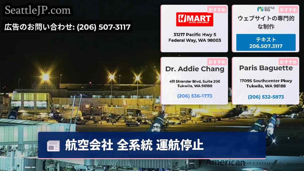 航空会社 全系統 運航停止