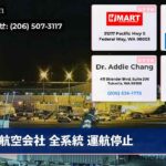 航空会社 全系統 運航停止