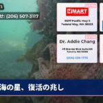 海の星、復活の兆し