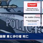 衝撃 車と歩行者 死亡