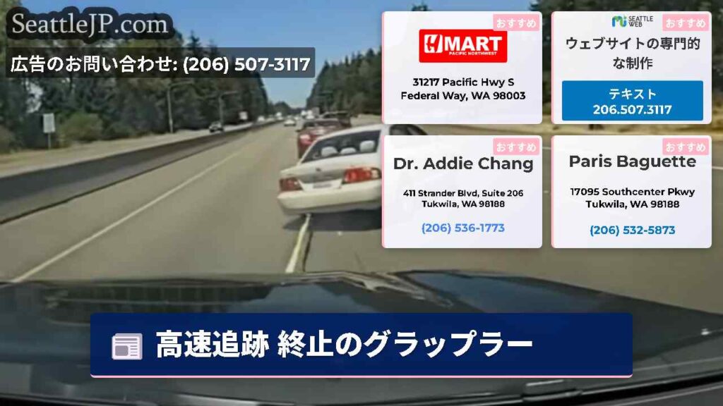 高速追跡 終止のグラップラー