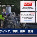 デイケア、車両、衝撃、無傷