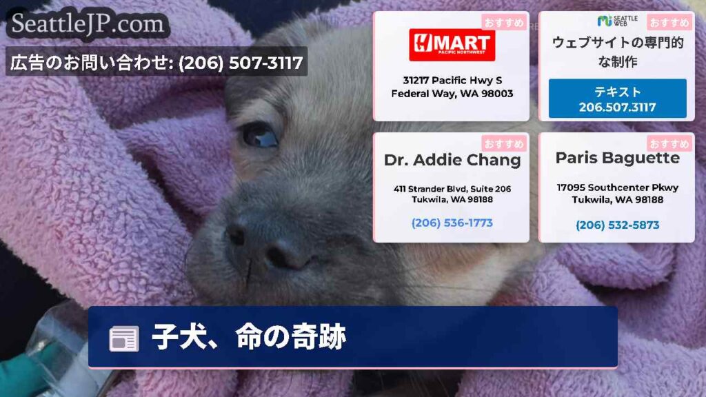 子犬、命の奇跡