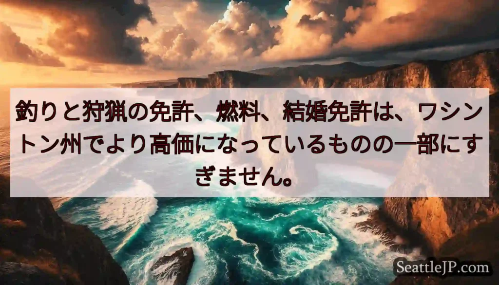 釣りと狩猟の免許、燃料、結婚免許は、ワシントン州でより高価になっているものの一部にすぎません。