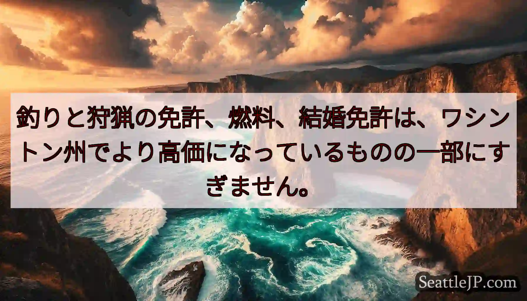 釣りと狩猟の免許、燃料、結婚免許は、ワシントン州でより高価になっているものの一部にすぎません。