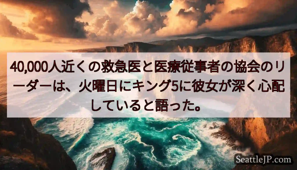 40,000人近くの救急医と医療従事者の協会のリーダーは、火曜日にキング5に彼女が深く心配していると