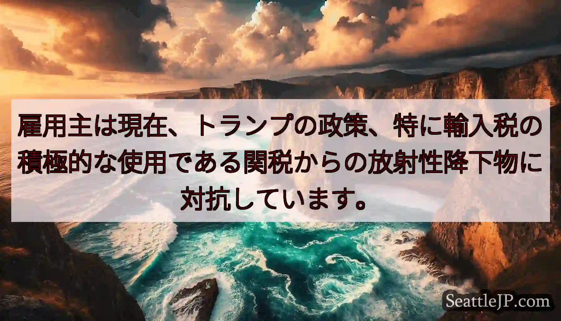 雇用主は現在、トランプの政策、特に輸入税の積極的な使用である関税からの放射性降下物に対抗しています。