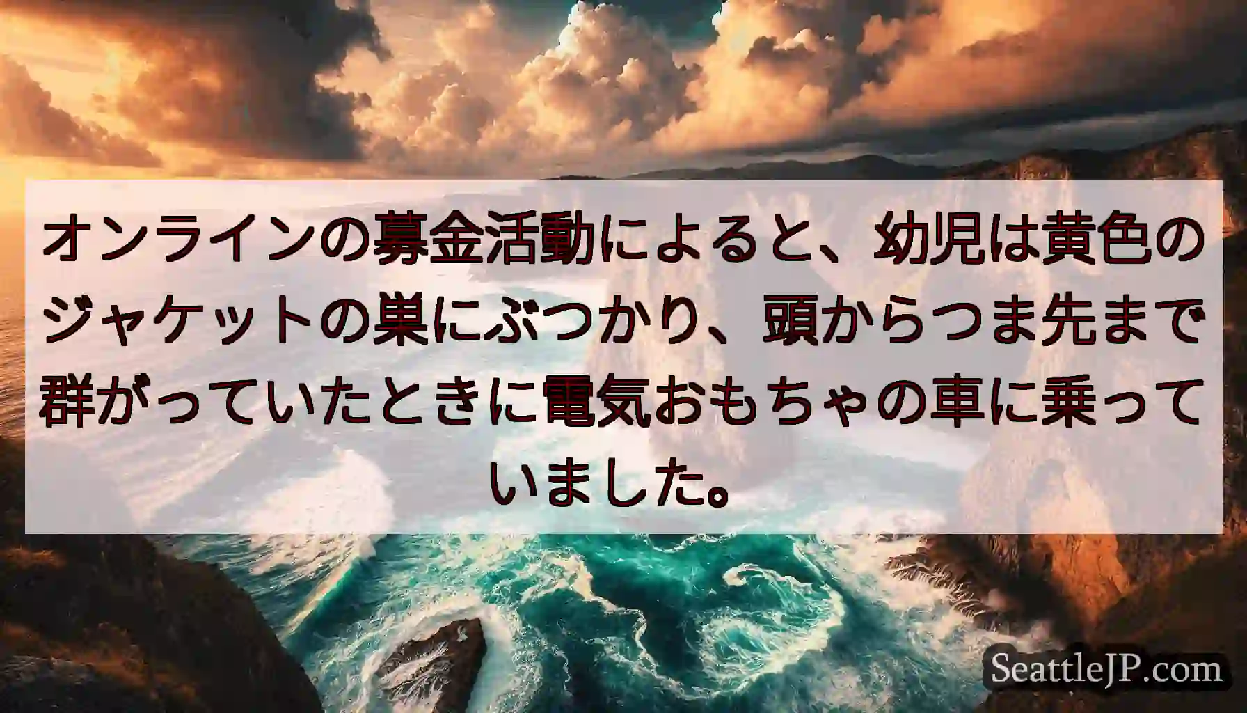 オンラインの募金活動によると、幼児は黄色のジャケットの巣にぶつかり、頭からつま先まで群がっていたとき