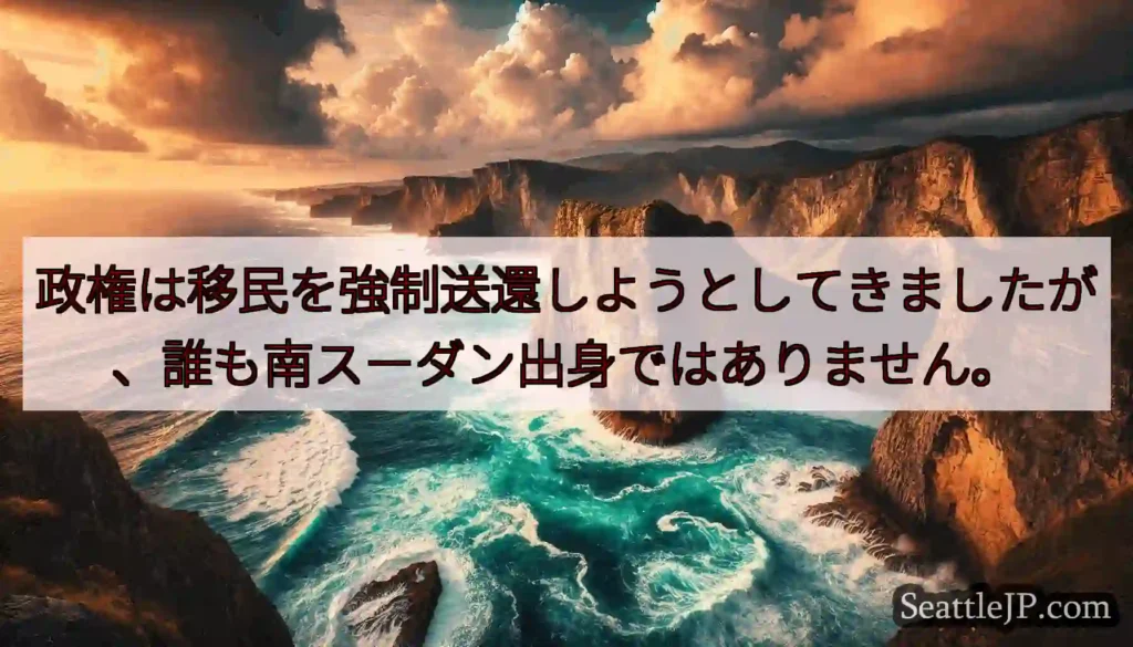 政権は移民を強制送還しようとしてきましたが、誰も南スーダン出身ではありません。