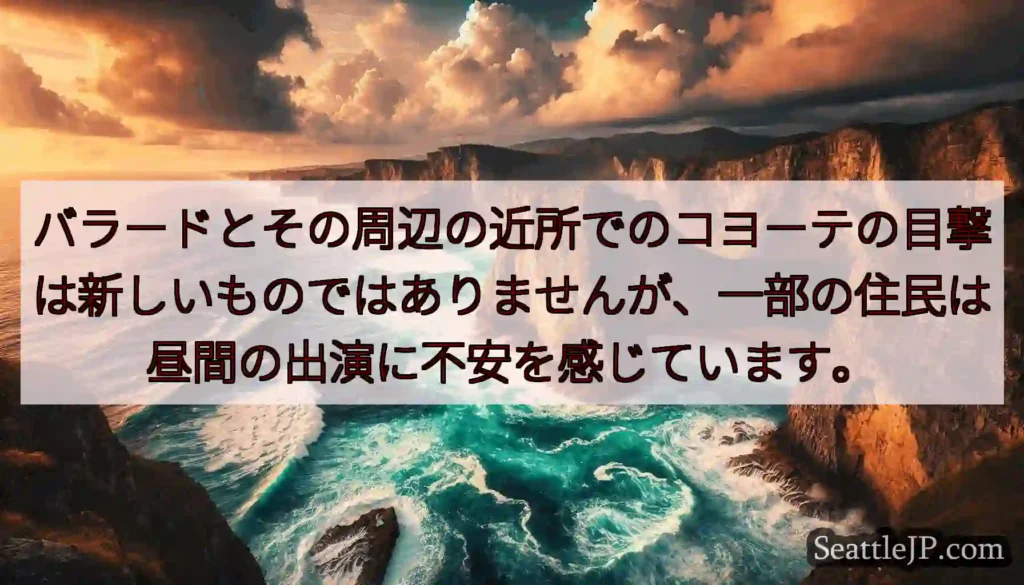 バラードとその周辺の近所でのコヨーテの目撃は新しいものではありませんが、一部の住民は昼間の出演に不安