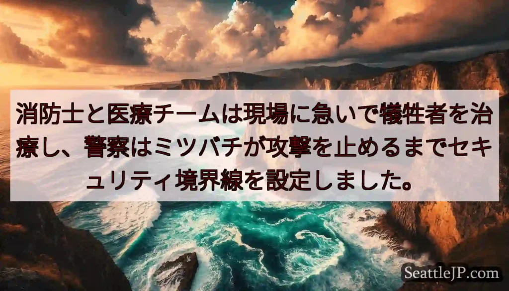 消防士と医療チームは現場に急いで犠牲者を治療し、警察はミツバチが攻撃を止めるまでセキュリティ境界線を