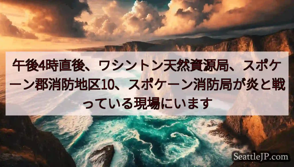 午後4時直後、ワシントン天然資源局、スポケーン郡消防地区10、スポケーン消防局が炎と戦っている現場に