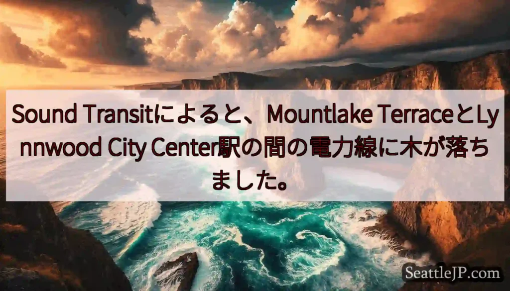 Sound Transitによると、Mountlake TerraceとLynnwood City