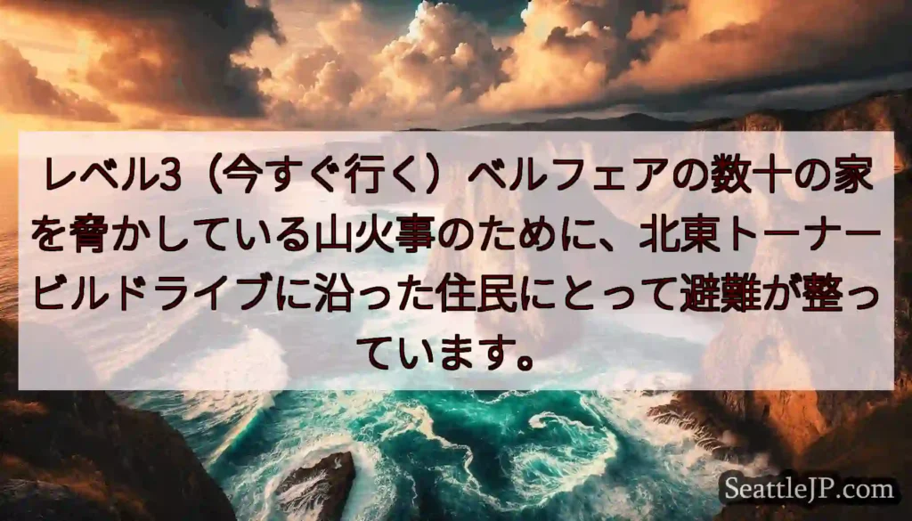 レベル3（今すぐ行く）ベルフェアの数十の家を脅かしている山火事のために、北東トーナービルドライブに沿