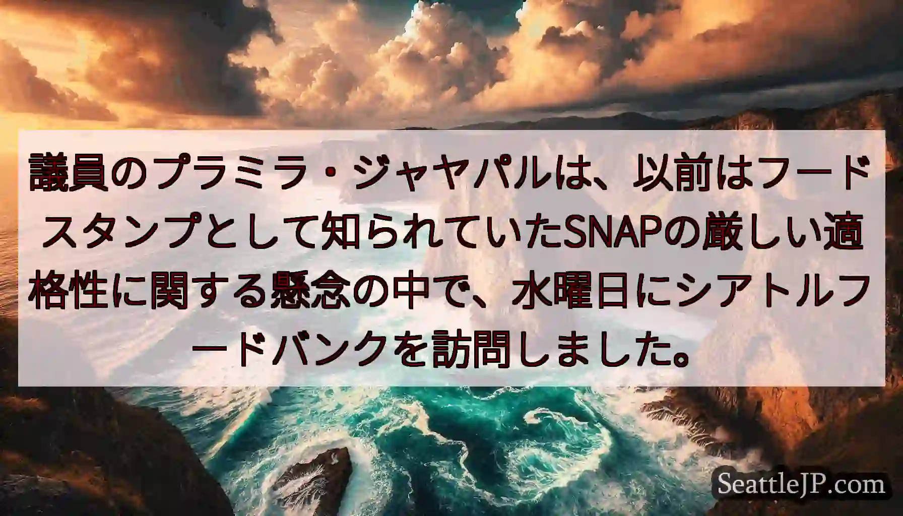 議員のプラミラ・ジャヤパルは、以前はフードスタンプとして知られていたSNAPの厳しい適格性に関する懸