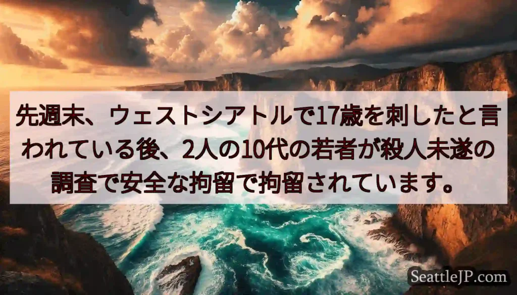 先週末、ウェストシアトルで17歳を刺したと言われている後、2人の10代の若者が殺人未遂の調査で安全な
