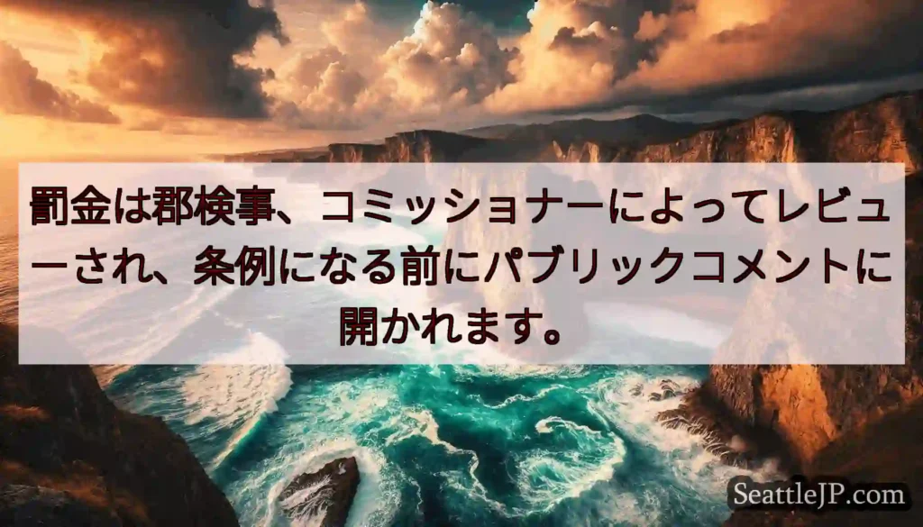 罰金は郡検事、コミッショナーによってレビューされ、条例になる前にパブリックコメントに開かれます。