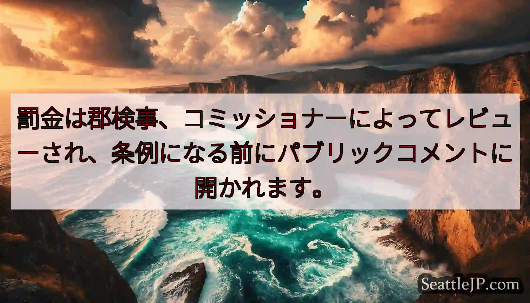 罰金は郡検事、コミッショナーによってレビューされ、条例になる前にパブリックコメントに開かれます。