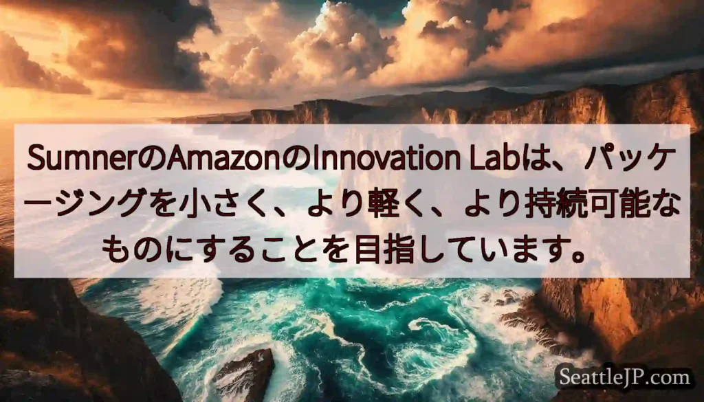 SumnerのAmazonのInnovation