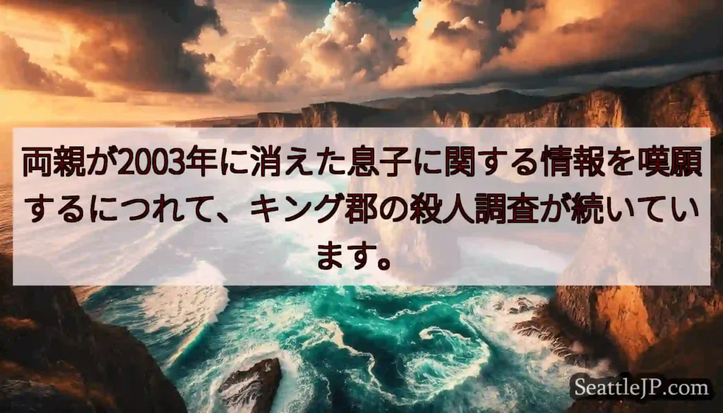 両親が2003年に消えた息子に関する情報を嘆願するにつれて、キング郡の殺人調査が続いています。