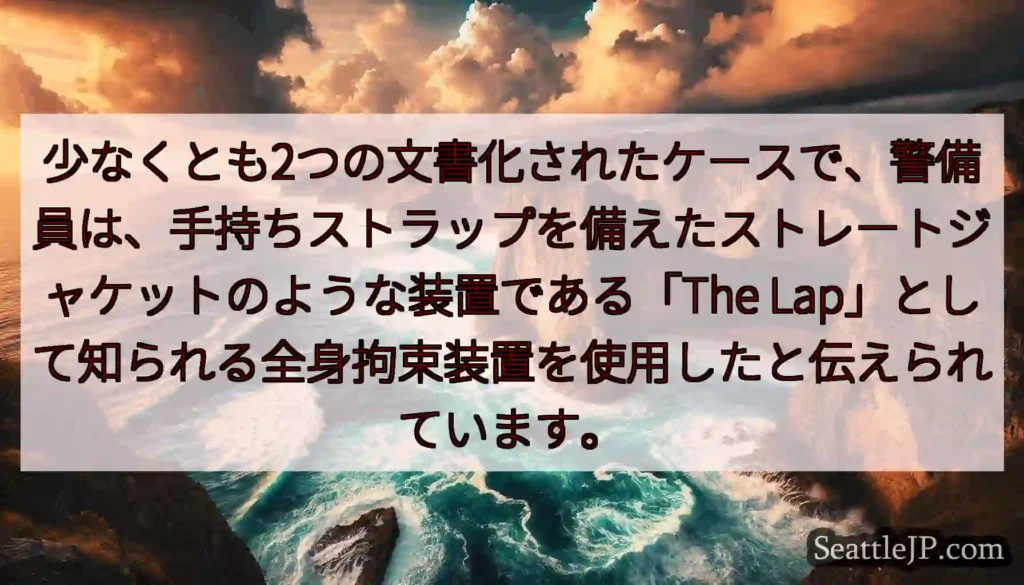 少なくとも2つの文書化されたケースで、警備員は、手持ちストラップを備えたストレートジャケットのような