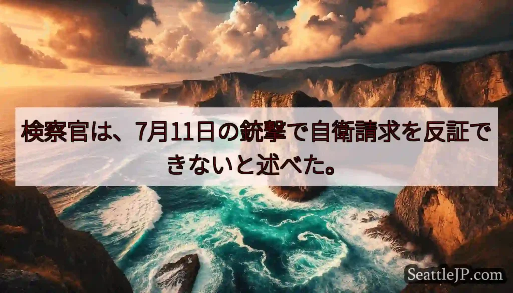 検察官は、7月11日の銃撃で自衛請求を反証できないと述べた。