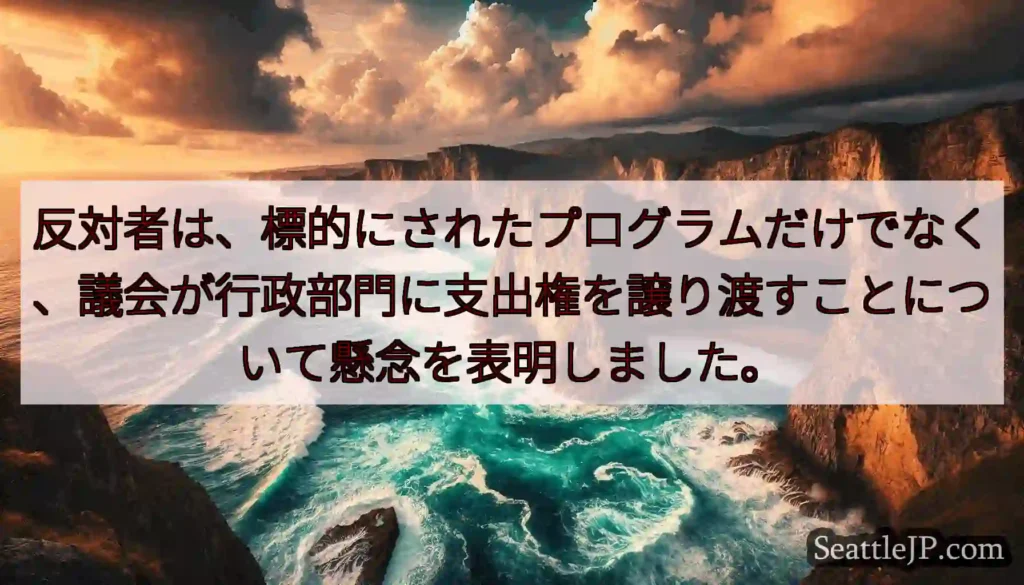 反対者は、標的にされたプログラムだけでなく、議会が行政部門に支出権を譲り渡すことについて懸念を表明し