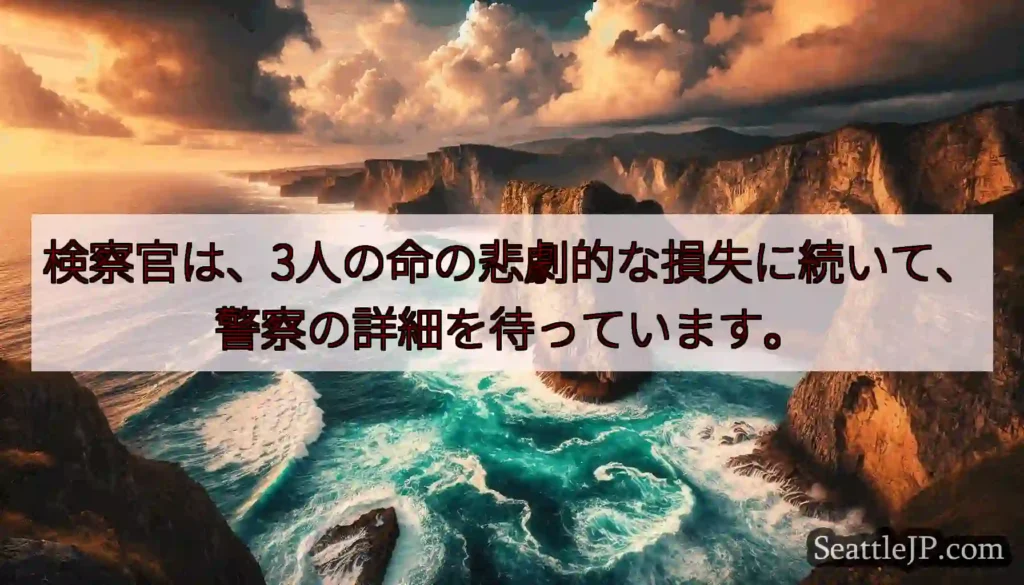 検察官は、3人の命の悲劇的な損失に続いて、警察の詳細を待っています。