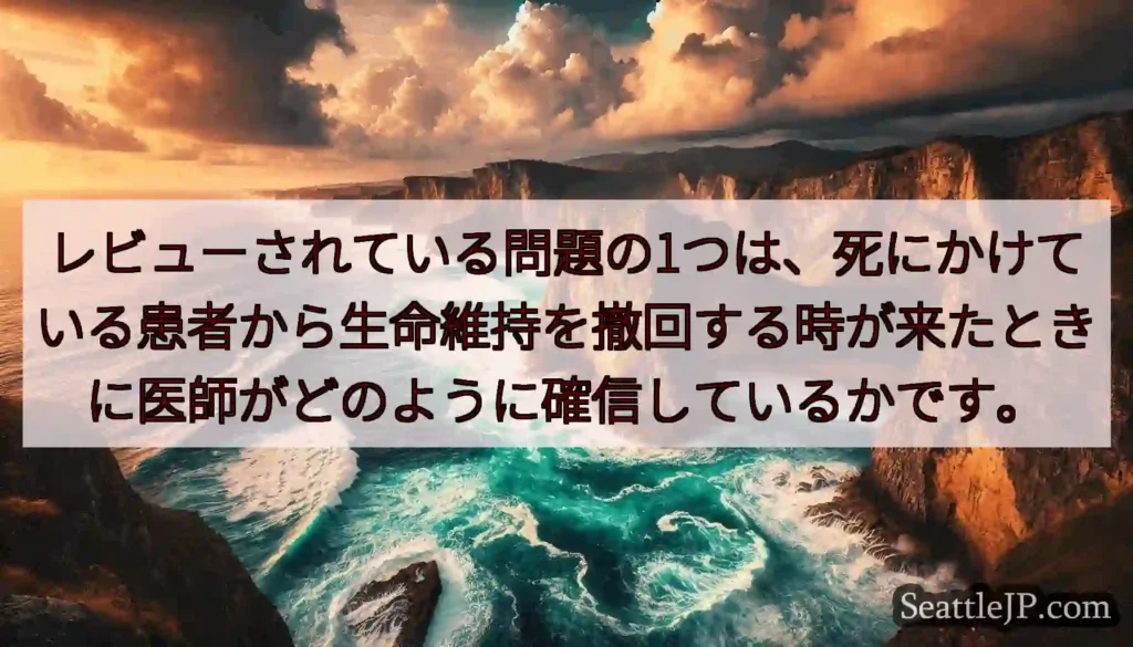 レビューされている問題の1つは、死にかけている患者から生命維持を撤回する時が来たときに医師がどのよう