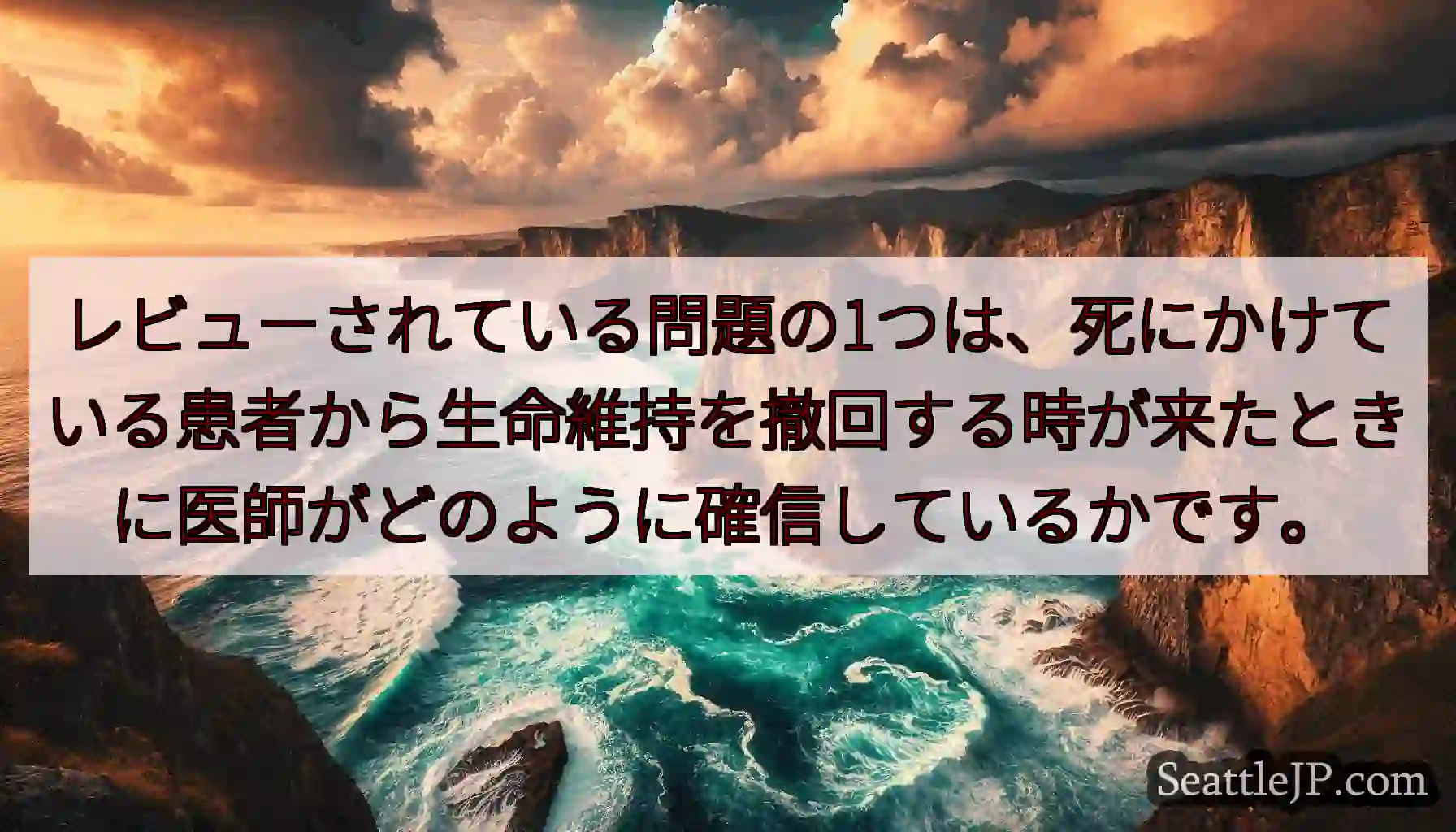 レビューされている問題の1つは、死にかけている患者から生命維持を撤回する時が来たときに医師がどのよう