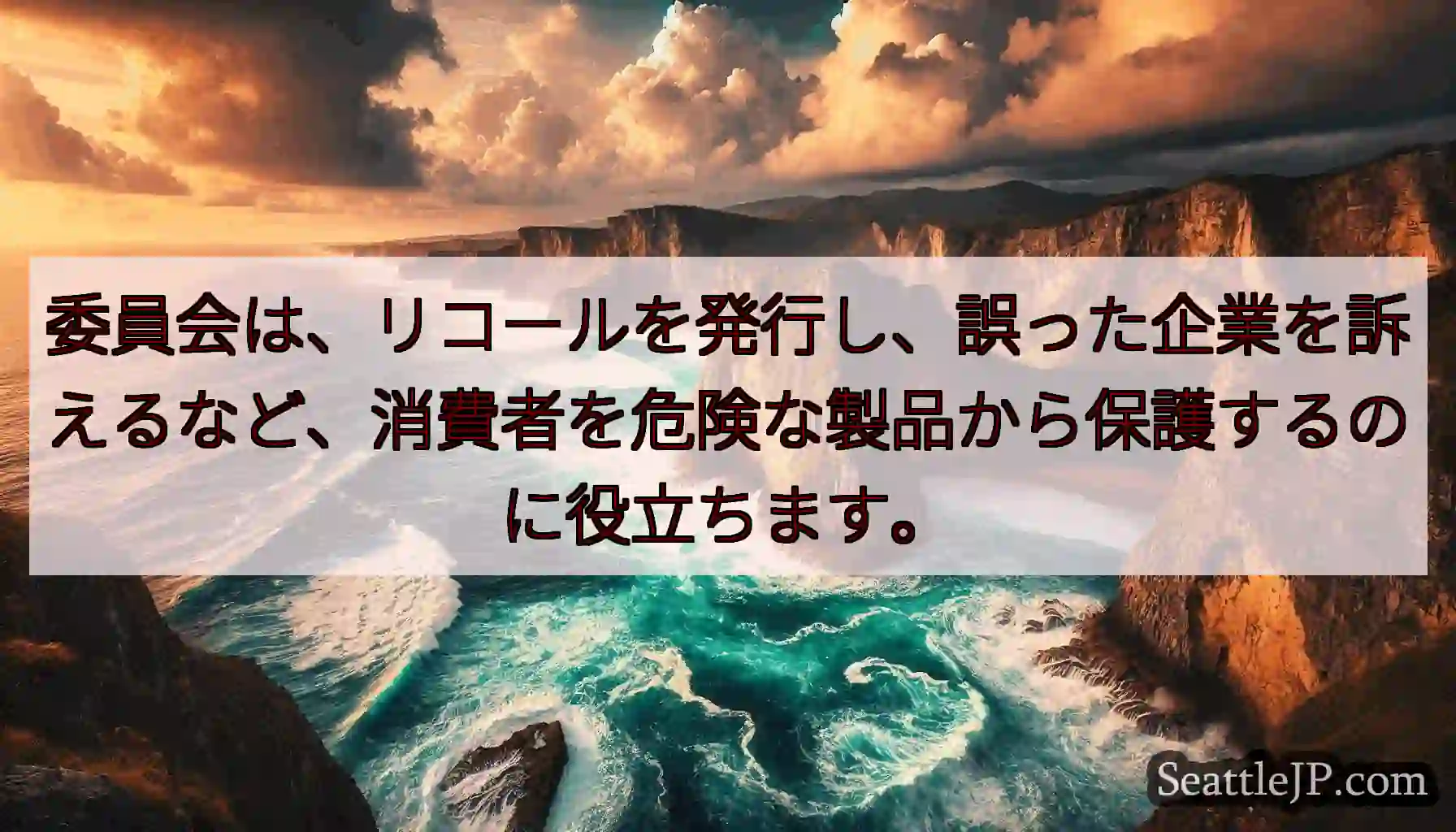 委員会は、リコールを発行し、誤った企業を訴えるなど、消費者を危険な製品から保護するのに役立ちます。