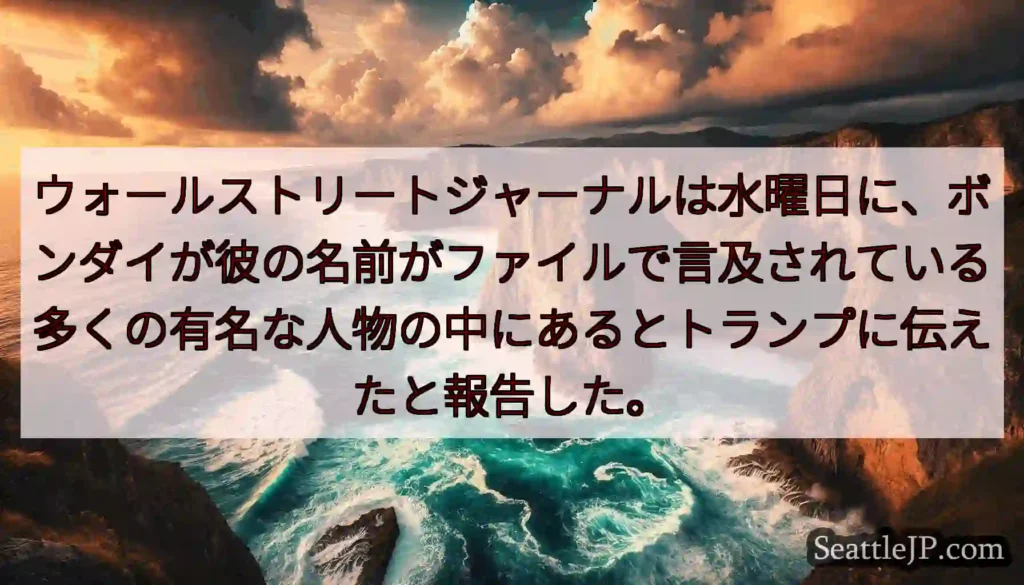 ウォールストリートジャーナルは水曜日に、ボンダイが彼の名前がファイルで言及されている多くの有名な人物