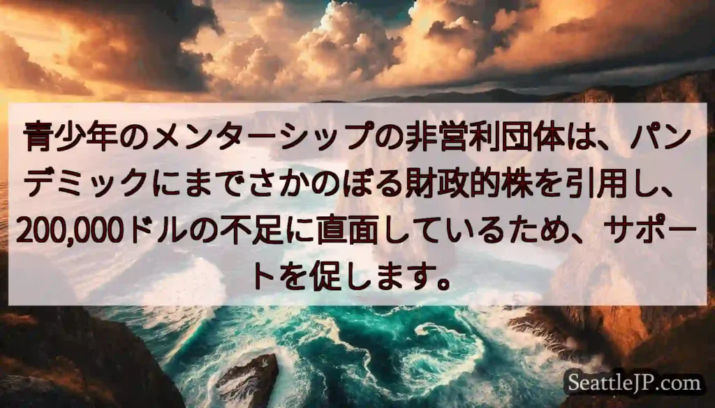 青少年のメンターシップの非営利団体は、パンデミックにまでさかのぼる財政的株を引用し、200,000ド