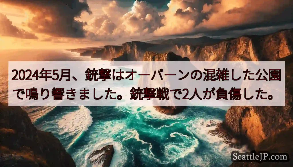2024年5月、銃撃はオーバーンの混雑した公園で鳴り響きました。銃撃戦で2人が負傷した。