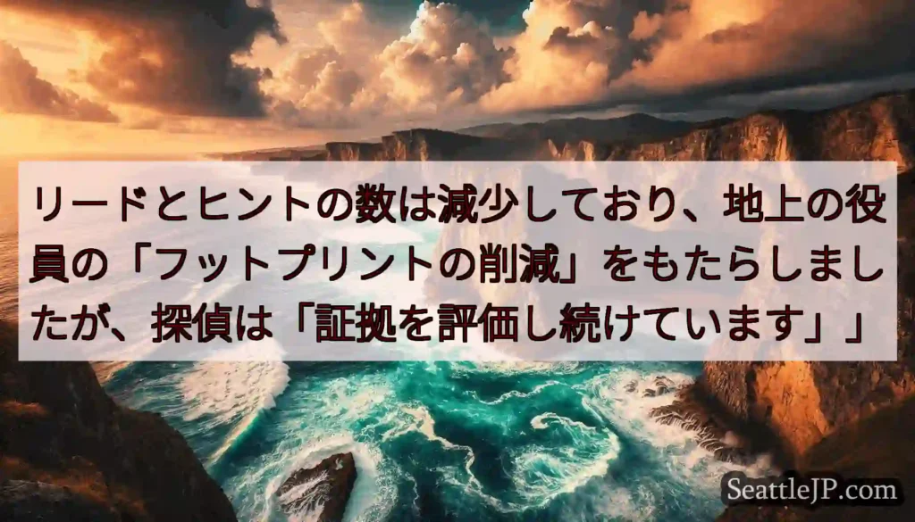 リードとヒントの数は減少しており、地上の役員の「フットプリントの削減」をもたらしましたが、探偵は「証