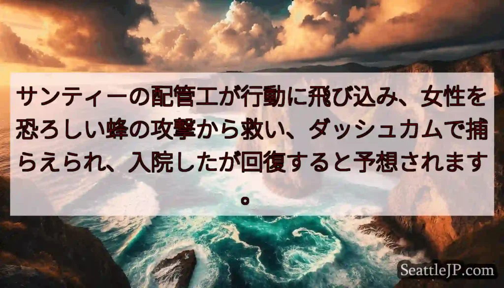 サンティーの配管工が行動に飛び込み、女性を恐ろしい蜂の攻撃から救い、ダッシュカムで捕らえられ、入院し