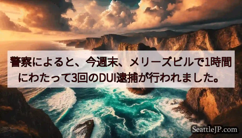 警察によると、今週末、メリーズビルで1時間にわたって3回のDUI逮捕が行われました。