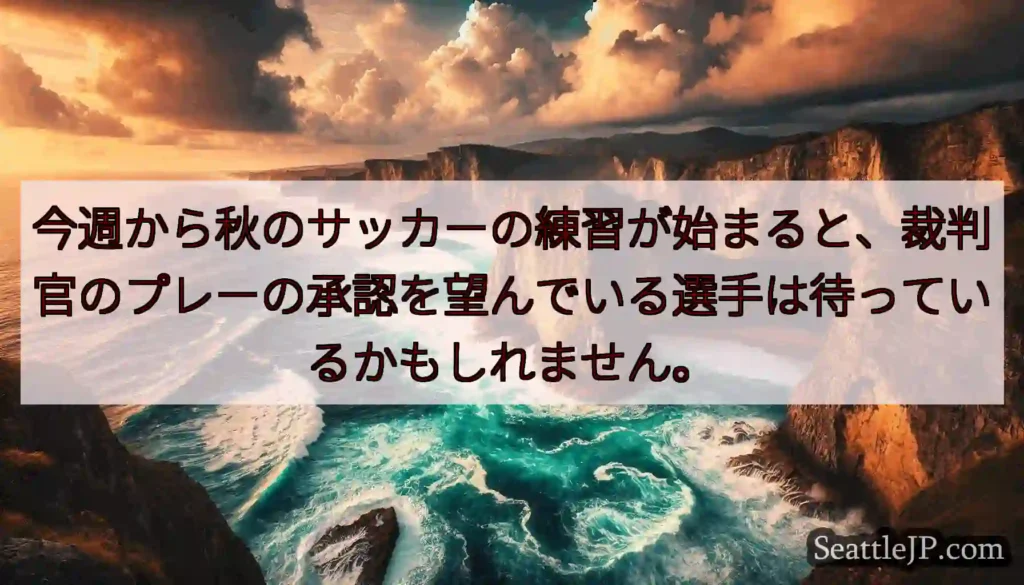 今週から秋のサッカーの練習が始まると、裁判官のプレーの承認を望んでいる選手は待っているかもしれません