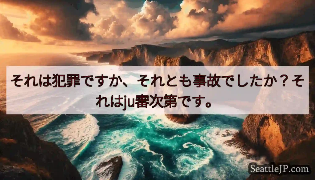それは犯罪ですか、それとも事故でしたか？それはju審次第です。