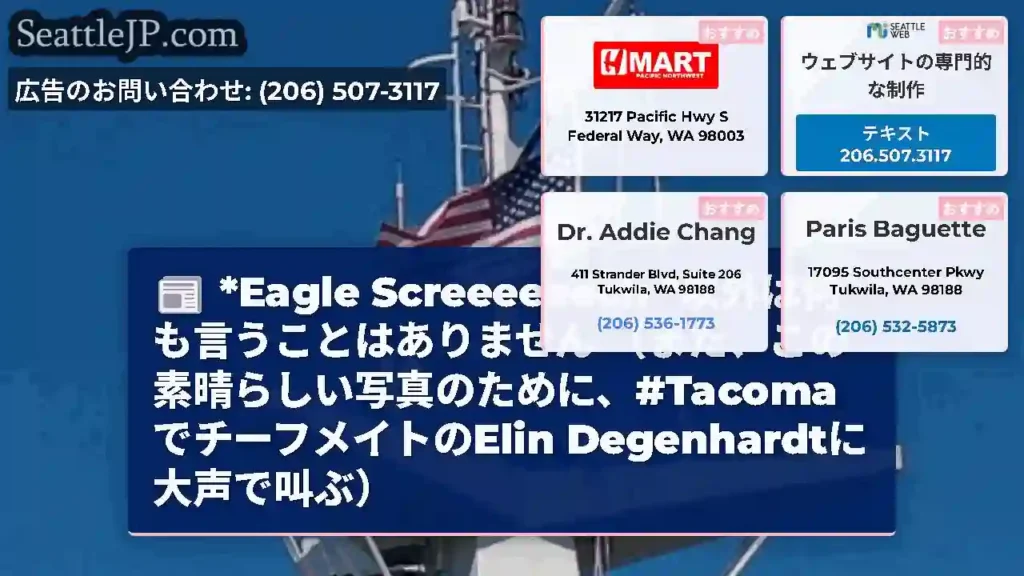 *Eagle Screeeeeech *以外は何も言うことはありません