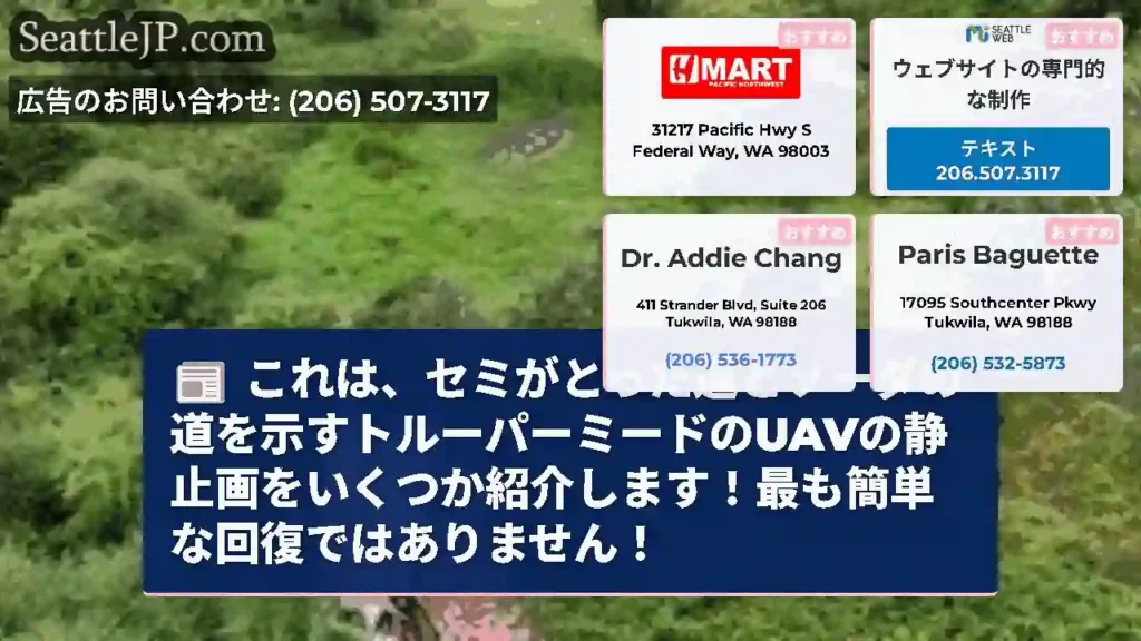 これは、セミがとった道とソーダの道を示すトルーパーミードのUAVの静止画をいくつか紹介します！最も簡