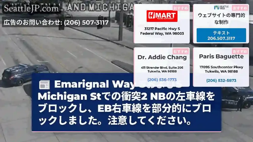 Emarignal Way SおよびS Michigan Stでの衝突2