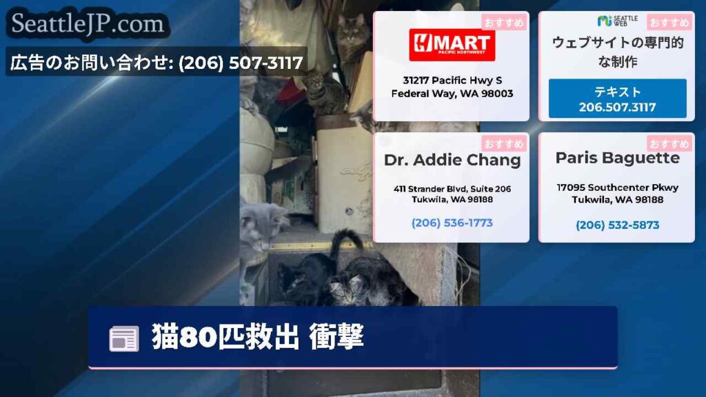猫80匹救出 衝撃