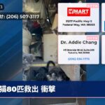 猫80匹救出 衝撃