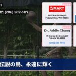 伝説の鳥、永遠に輝く